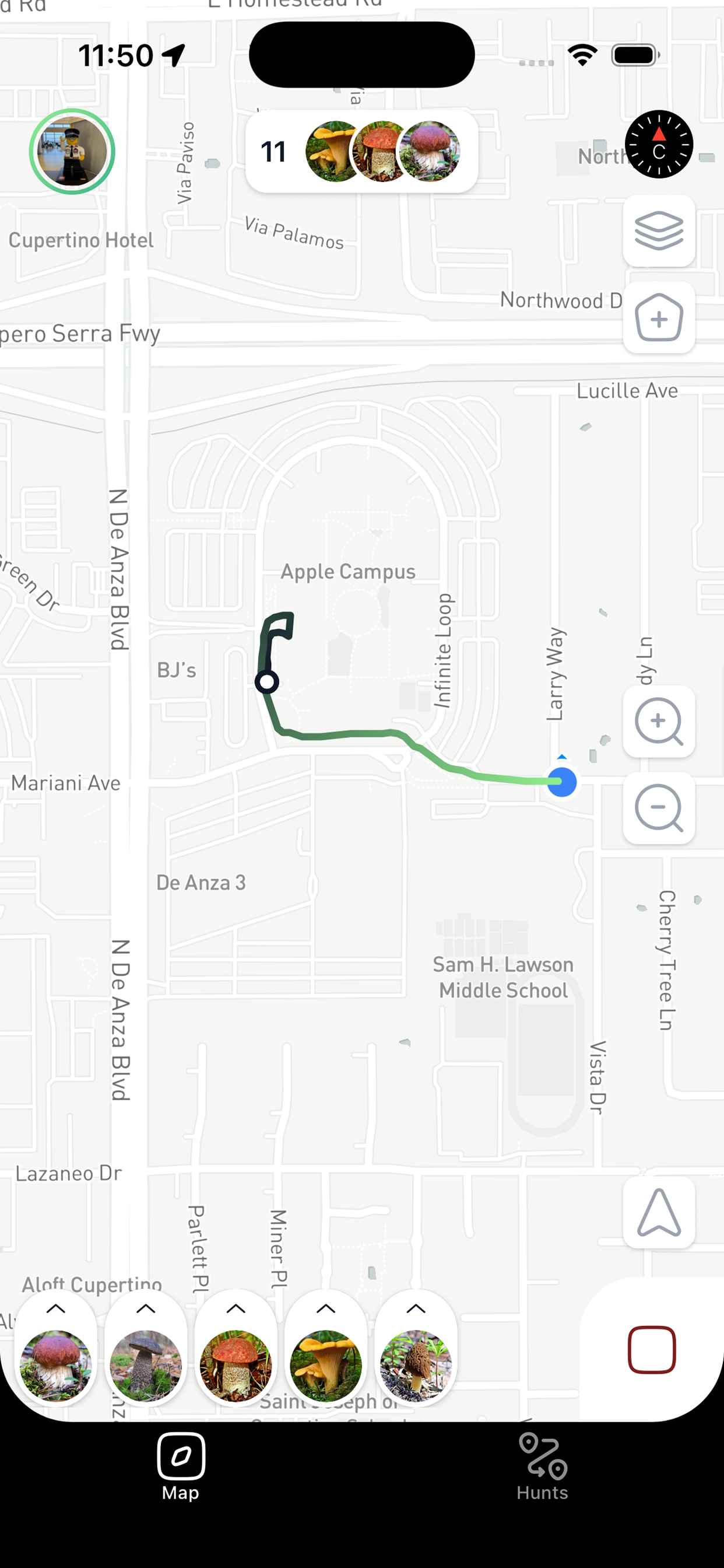 ShroomSeeker active hunt screen with live GPS trail and mushroom markers