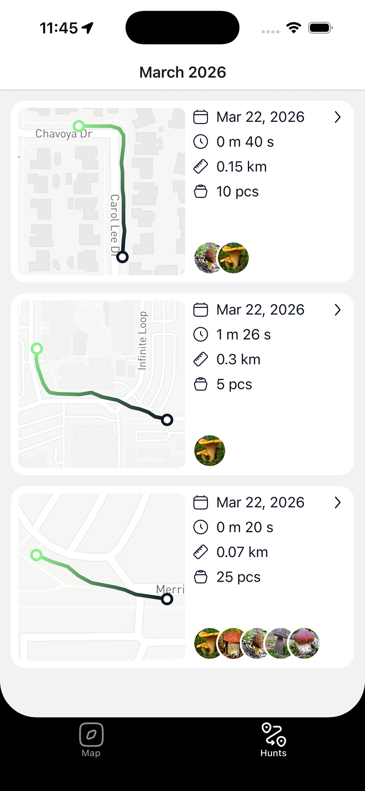 Hunts history list grouped by month